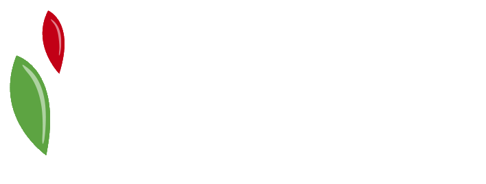 Dez Alimentos Ltda